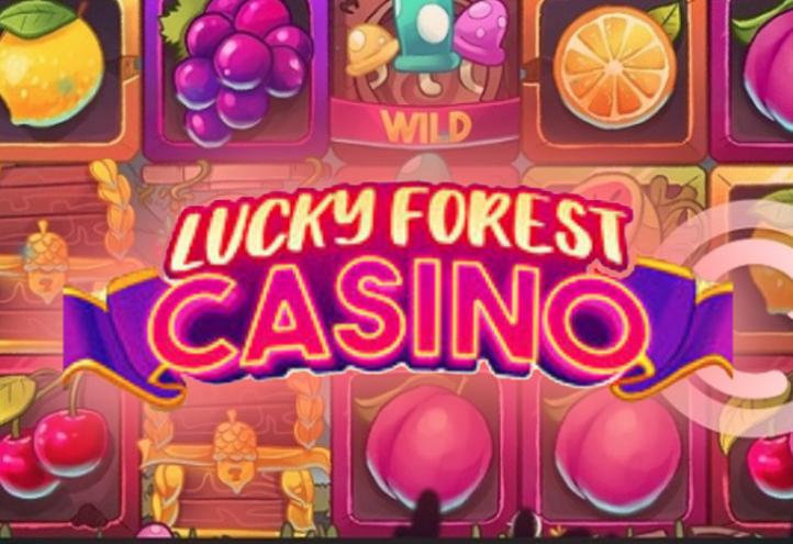 Lucky Forest Casino